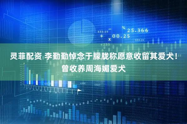灵菲配资 李勤勤悼念于朦胧称愿意收留其爱犬！曾收养周海媚爱犬