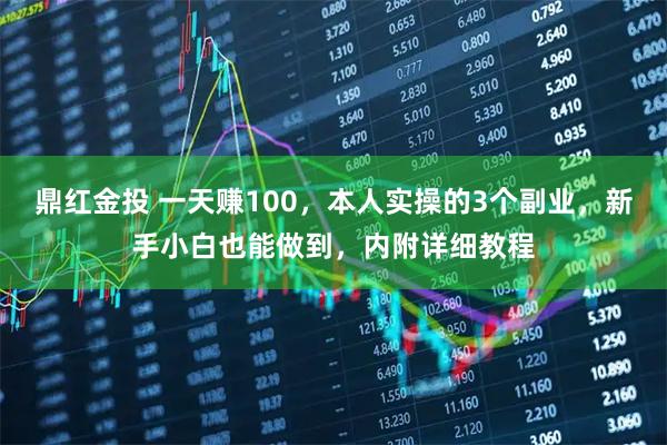 鼎红金投 一天赚100，本人实操的3个副业，新手小白也能做到，内附详细教程