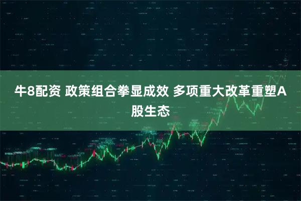 牛8配资 政策组合拳显成效&#32;多项重大改革重塑A股生态