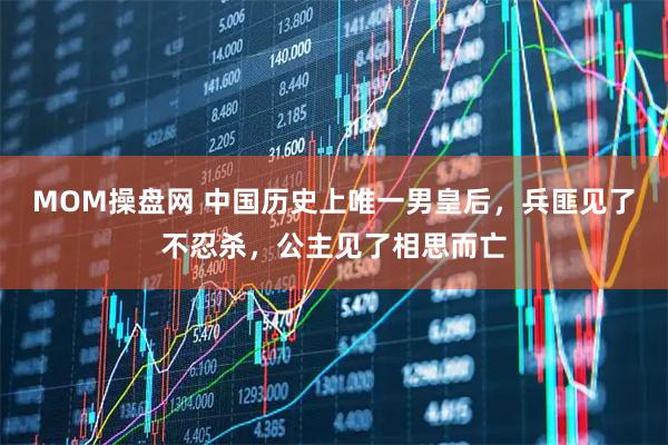MOM操盘网 中国历史上唯一男皇后，兵匪见了不忍杀，公主见了相思而亡