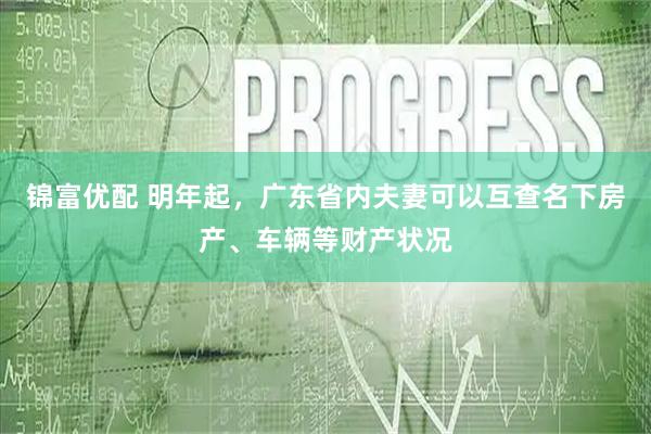 锦富优配 明年起，广东省内夫妻可以互查名下房产、车辆等财产状况