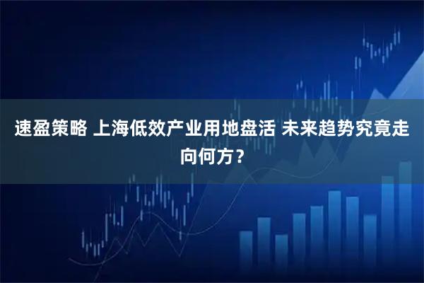 速盈策略 上海低效产业用地盘活 未来趋势究竟走向何方？